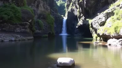 Photo of Исследуйте ущелье Тары